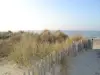 Beach area