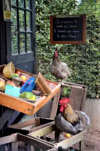 Poulailler Epicerie - Jardins de Brocéliande