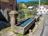 Breitenbach-Haut-Rhin - Guía turismo, vacaciones y fines de semana en Alto Rin