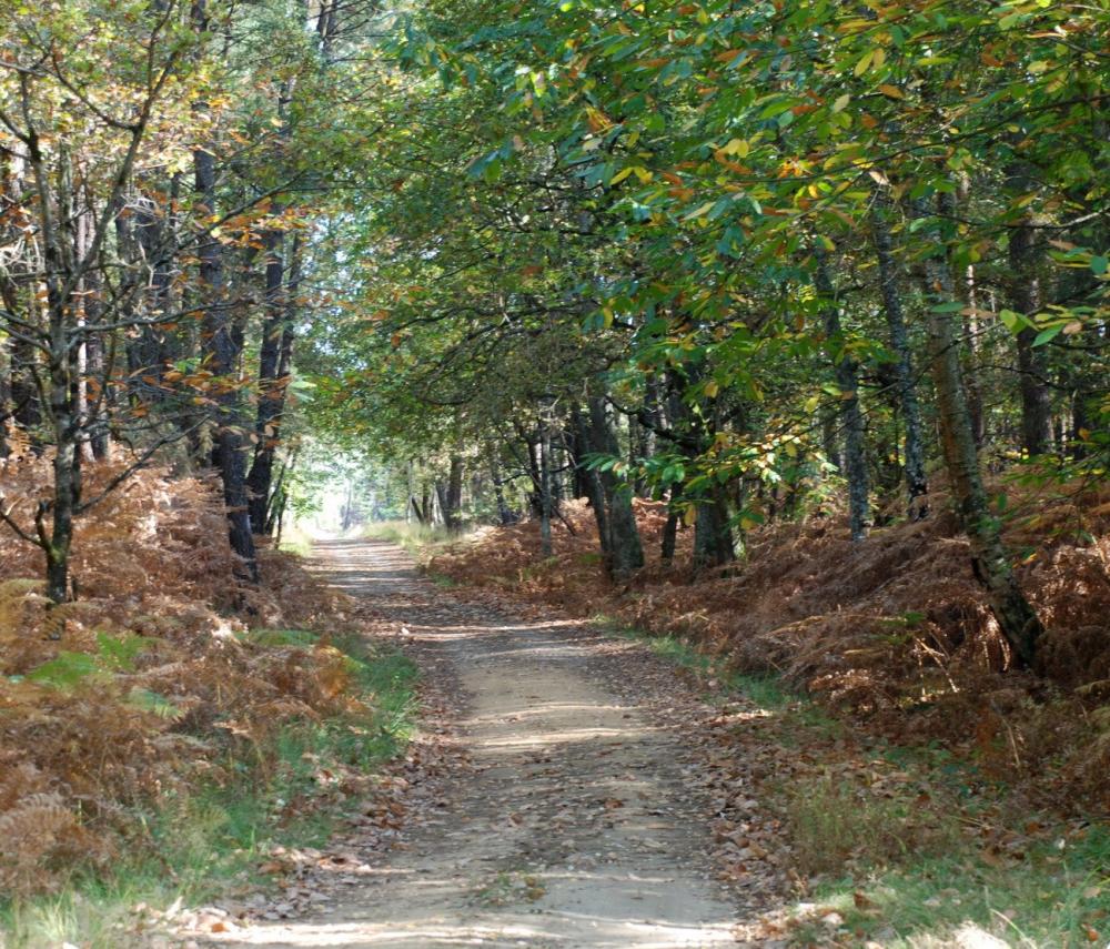 Bilder BrettelesPins Tourismus, Urlaub & Wochenenden