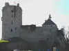 Bricquebec-en-Cotentin - Le château de Bricquebec