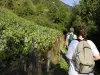 Brides-les-Bains - Escursioni