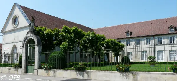 Museo Napoléon 1er et Trésors des Eglises - Luogo di svago a Brienne-le- Château