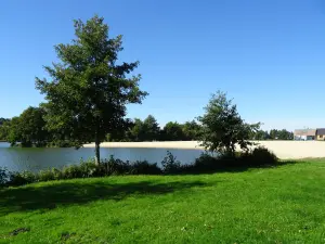 Vue sur la plage de sable du lac