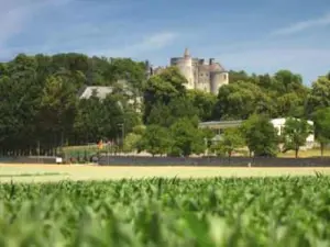 Coutures - Château de Montsabert