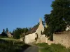 Saint-Rémy-la-Varenne - Manor of Chauvigné