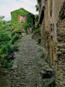 Calade village (© Pol Boussaguet for SIVOM of Saint Rome de Tarn)