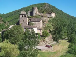 Vue générale de Brousse-le-Château