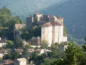 castillos Bruniquel