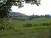 Burdignes - View of the village