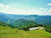 Moseltal Blick von der Spitze des Drumont