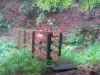 Une des passerelles du sentier des gardes qui passe au-dessus de la cascade de l'ours