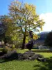 The statue of Mary Source in autumn