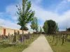 Cemetery of the Forgotten