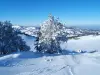 Camurac - Führer für Tourismus, Urlaub & Wochenende in der Aude