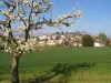 Medieval village, country and prune capital of the hazelnut