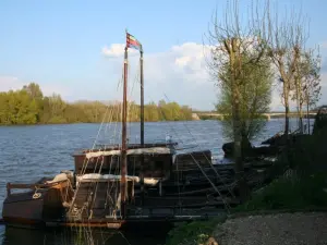 Barcos tradicionais