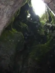 Forêt de la Braunhie : L'entrée du gouffre de Planagrèze