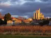 Capestang - Guida turismo, vacanze e weekend nell'Hérault