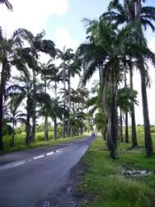 Driveway Dumanoir