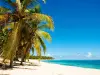 Capesterre-de-Marie-Galante - Tourism, holidays & weekends guide in the Guadeloupe