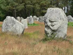 Carnac (© Frantz)