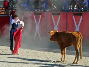 La Feria...初学者的Capea（©Alain Chopin）