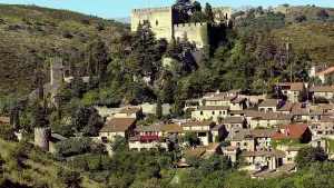 mittelalterliches Dorf