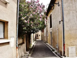 Le village