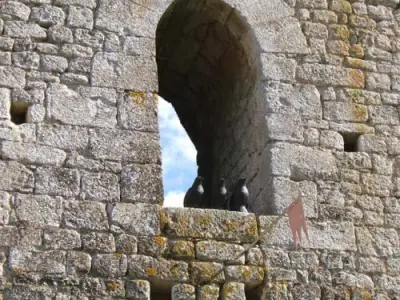 Château de Clérans Monument à CausedeClérans
