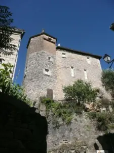 The castle