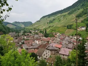 The village