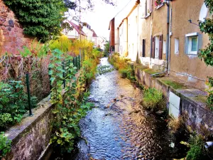 Canal Mills (© Jean Espirat)