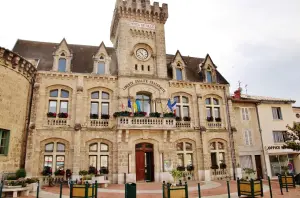 The town hall