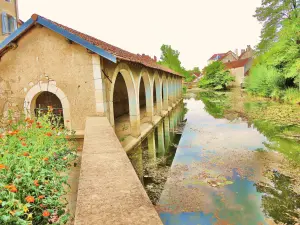 Washhouse velho no canal dos moinhos da cidade (© Jean Espirat)