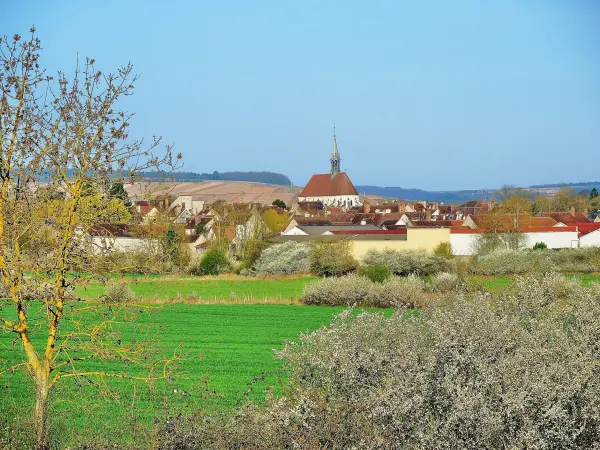 Panorama da Primavera (© Jean Espirat)