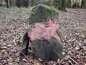 Borne avec écusson au lieu-dit chez le Geai (© J.E)