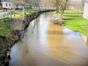 La Luzine (Lizaine), en amont du pont de Chagey (© J.E)