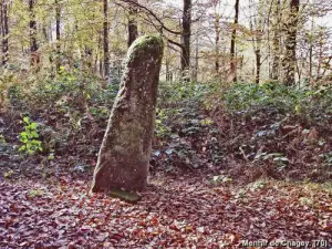 Menhir de Chagey