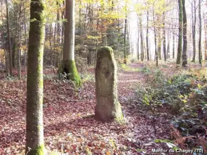 Menhir de Chagey