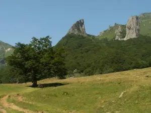 Tooth Rancor und der Hahn Ridge