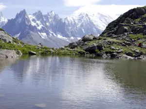 紫胶布兰克到勃朗峰