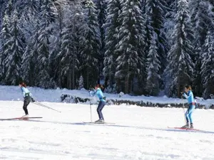 Sci di fondo in legno Bouchet