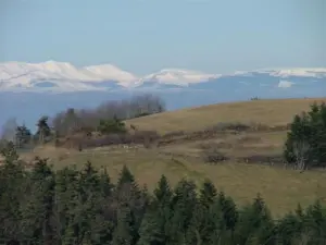 Vista para a montanha - Le Boucharel - Champagnac-le-Vieux