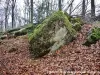 Rocha acima da pedra de giro (© Jean Espirat)