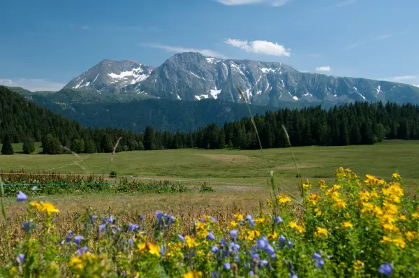 Plateau de l'Arselle (© immagini e reves)