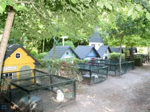 rabbits Village