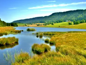 Lago de los Mortes (© J.E)