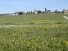 Das Dorf Chapelle-des-Bois Frühling