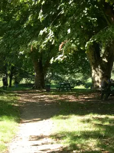 Parc du Boulard